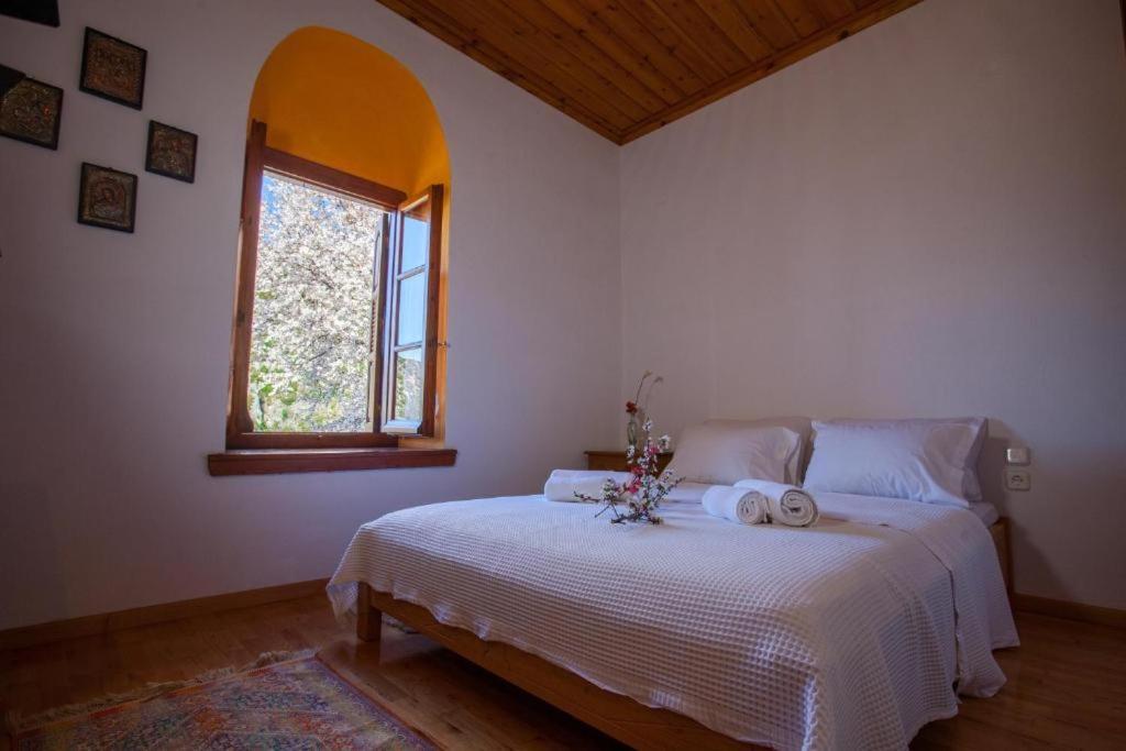 מקריניצה Eremia Rustic House - Entire Villa In Pelion מראה חיצוני תמונה
