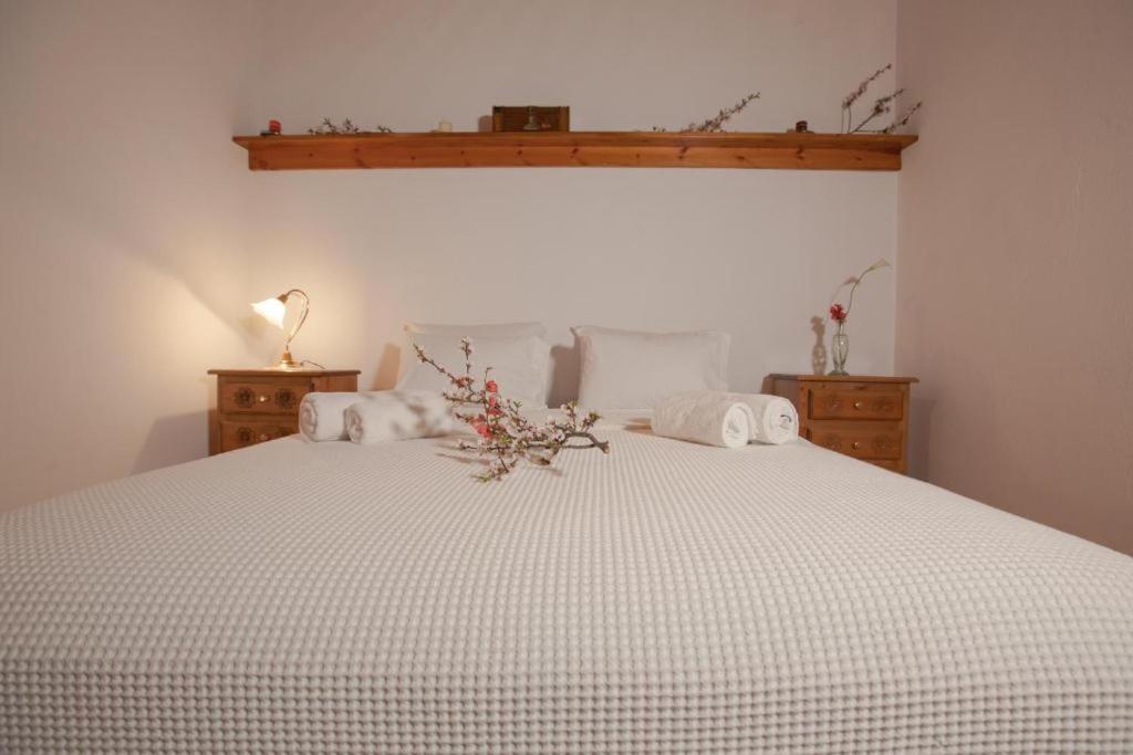 מקריניצה Eremia Rustic House - Entire Villa In Pelion מראה חיצוני תמונה