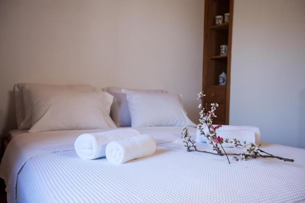 מקריניצה Eremia Rustic House - Entire Villa In Pelion מראה חיצוני תמונה